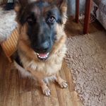 Profile Picture of Węgelewska Jolanta (@wegelewska) on Instagram