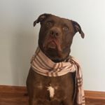 Profile Picture of Lori Miguel (@lmiguel329) on Instagram