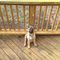 Profile Picture of David Shuey Sr. (@david.shuey.184) on Facebook