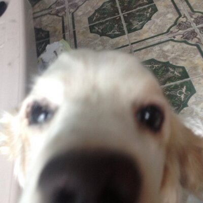 Profile Picture of Wesner Coro (@wes31_12) on Twitter