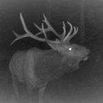 Profile Picture of Brian Palmer (@palmer_outfitters) on Instagram