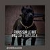 Profile Picture of Stevens Brown (@stevens.brown.37) on Facebook