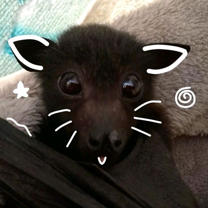 Profile Picture of ☆ (@corysad_) on Tiktok