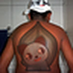Profile Picture of Felipe Costa (@feliipecosta) on Flickr