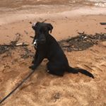 Profile Picture of Bailey Anne Floyd 🐾 (@baileyannefloyd) on Instagram