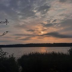 Profile Picture of josieblume93 (@josieblume93) on Tiktok