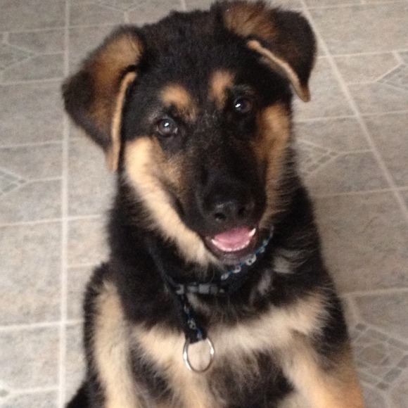 Profile Picture of Alyssa Czyzyk (@aboozan) on Poshmark