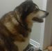 Profile Picture of Nicholas Longo (@nicholas.longo.31) on Facebook