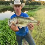 Profile Picture of Thomas Birnbaum (@leecounty_wildlife) on Instagram