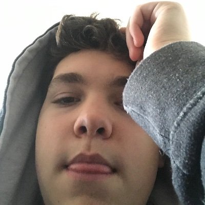 Profile Picture of Zach LaM (@Mellonstealer) on Twitter