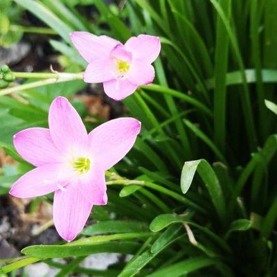 Profile Picture of Wang_ke (@wangke0505) on Twitter