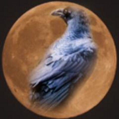 Profile Picture of Jodi Lee (@JodiL33) on Twitter