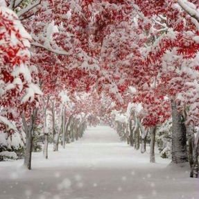 Profile Picture of Sudeshna Chatterjee (@Sudeshn33606264) on Twitter