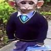 Profile Picture of John Schmit (@john.schmit) on Tiktok