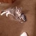 Profile Picture of Jacquelyn Cobbs (@jacquelyn.cobbs.75) on Facebook