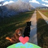 Profile Picture of Anne Graf (@@annegraf0) on Tiktok