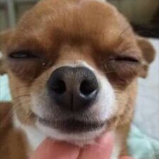 Profile Picture of Blake C Ost (@SofakinAwesom) on Twitter