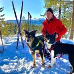 Profile Picture of Per-Erik Rutgersson (@pellerut) on Instagram