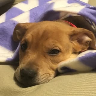 Peyton Calhoun - Instagram Profile Picture of Peyton Calhoun (@calhoun_peyton) on Instagram