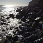 Profile Picture of Chia wong lol (@chiawonglol) on Instagram