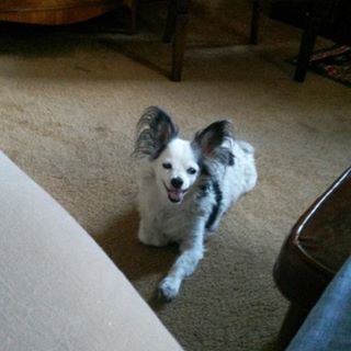 Profile Picture of Matthew Kofos (@matthew.kofos.1) on Facebook