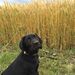 Profile Picture of Sandra A (@s_adametz) on Pinterest