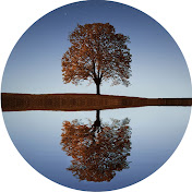 Profile Picture of Benjamin Hartmann - Relaxing Music (@benjaminhartmann-relaxingm937) on Youtube