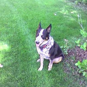 Profile Picture of Jakob Berg (@366624122) on Myspace