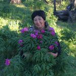 Profile Picture of Tamara (@tamara_samsonovn) on Instagram