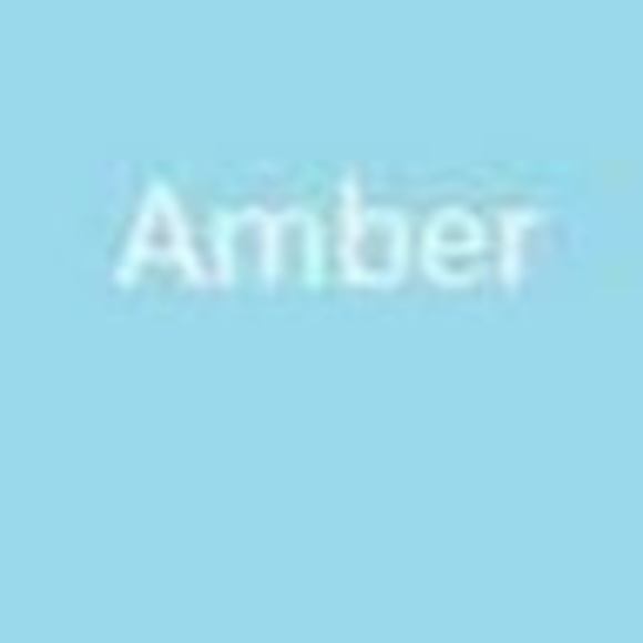 Profile Picture of Amber Halliday (@amber_halliday) on Poshmark