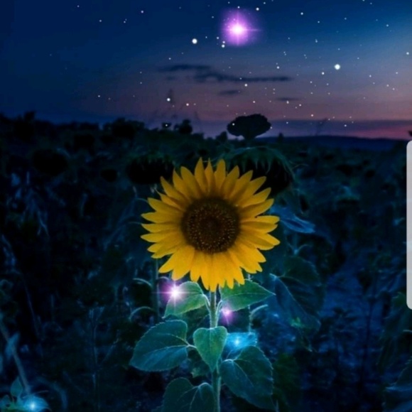 Profile Picture of K Perrine (@k_bird9) on Poshmark