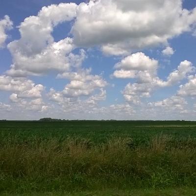 Daniel Kahle - Twitter Profile Picture of Daniel Kahle (@DanielOpieKahle) on Twitter