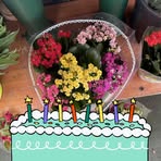 Carole Martin - Facebook Profile Picture of Carole Martin (@Carole-Martin) on Facebook