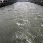 Profile Picture of Conan Zhang (@zhang_conan) on Instagram