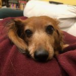 Profile Picture of Donna Casey (@donnacasey56) on Instagram