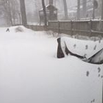 Profile Picture of Christopher Eddings (@chris.eddings) on Instagram