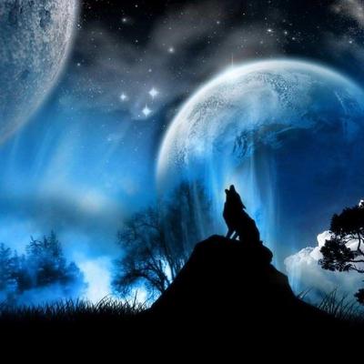 Profile Picture of Nicholas Krause (@NicholasAKrause) on Twitter