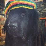 Profile Picture of Robin (@buzzardmountain) on Instagram