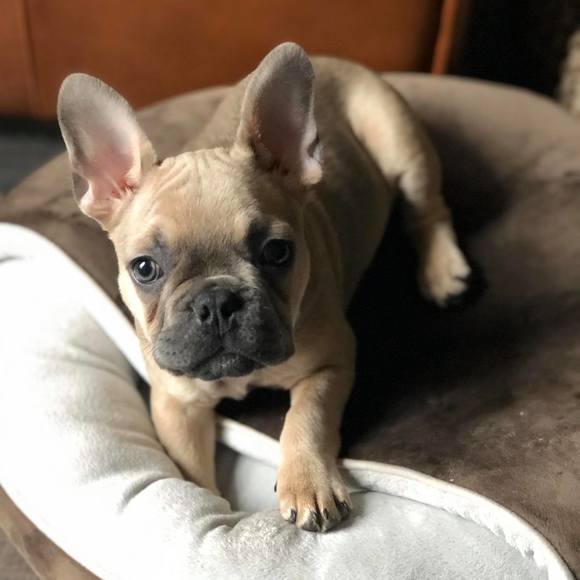 Profile Picture of Christine Penner (@c_penner26) on Poshmark