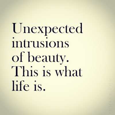 Profile Picture of Rene Fontaine (@rf555StyleGuru) on Twitter