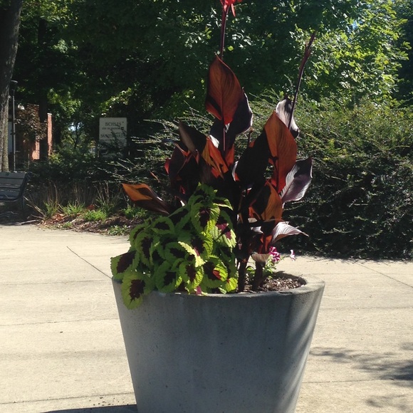 Profile Picture of Teresa Lewallen (@teresalewallen) on Poshmark