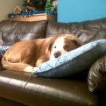 Profile Picture of Jade Lloyd (@jadehannahmaylloyd) on Instagram