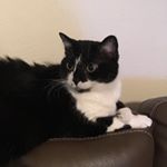 Profile Picture of Erika R (@hunter_avenger_consulter_grimm) on Instagram