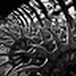 Profile Picture of Daniel MuMa (@Dan Mu?oz) on Flickr