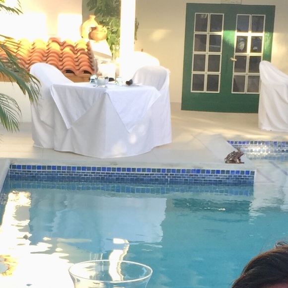 Profile Picture of Marianne Quinn (@mariannequinn) on Poshmark