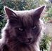 Profile Picture of Robin Rißler (@Robin-Rißler) on Facebook
