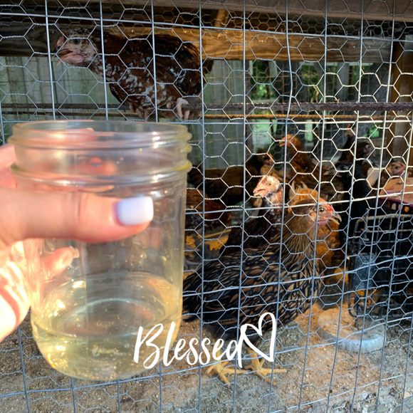 Profile Picture of Dee dee Gonzalez (@dinorahpat) on Poshmark