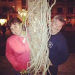 Profile Picture of Kim Willey (@kimwilley) on Instagram