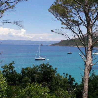 Profile Picture of Neil Wallis (@neil_wallis) on Twitter