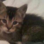 Profile Picture of Dawn Place (@place.d) on Instagram